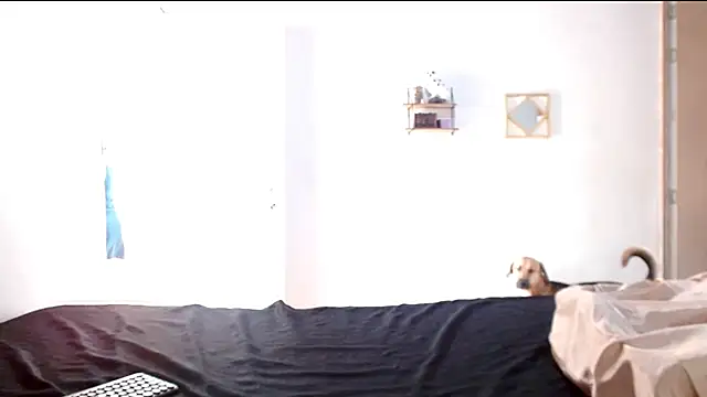 cherrydelioncourt online show from April 7, 2026, 5:13 pm