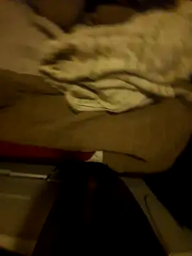 the666D online show from March 29, 2026, 3:06 am