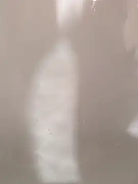 SensualG300 online show from February 12, 2026, 10:38 pm