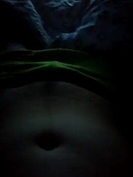 Snapshot of Lighto1 chatting on January 9, 2026, 4:37 am Lighto1 online show from January 9, 2026, 4:37 am