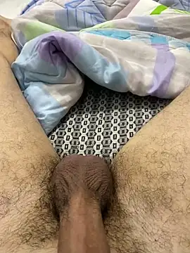 dzpoweralg online show from February 13, 2025, 1:37 pm