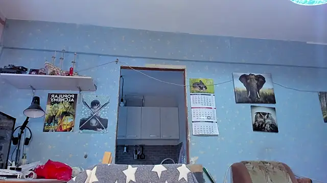 Snapshot of teddy_alan chatting on January 26, 2025, 11:28 am teddy alan online show from January 26, 2025, 11:28 am