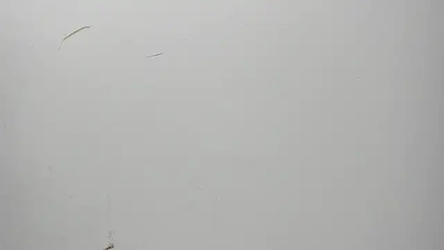 Snapshot of Karljensen33 chatting on December 27, 2024, 5:42 am Karljensen33 online show from December 27, 2024, 5:42 am