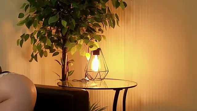 Risky dream online show from December 14, 2024, 12:55 pm