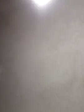  violetta - online show from November 6, 2025, 11:00 am