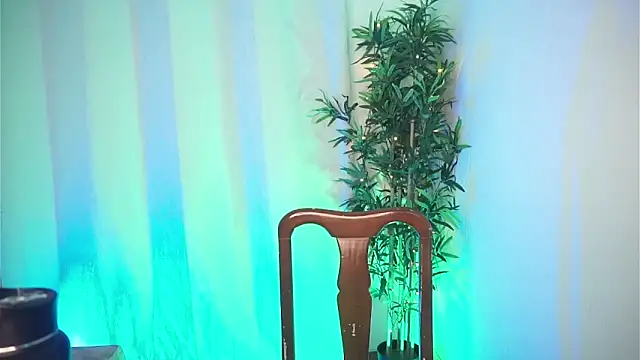 dam0n fr0st online show from February 4, 2026, 8:47 pm