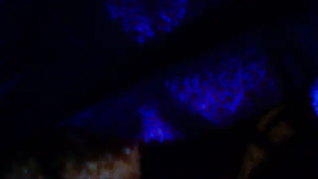 penesillo79 online show from December 18, 2025, 4:29 am