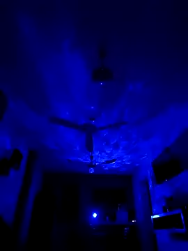 tripexnte online show from June 21, 2026, 6:49 am