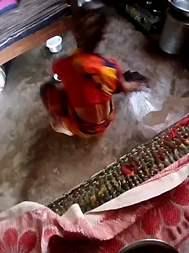 poojaji2024 online show from December 4, 2024, 4:54 am