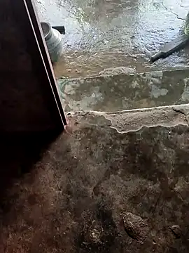 poojaji2024 online show from February 21, 2025, 5:35 am