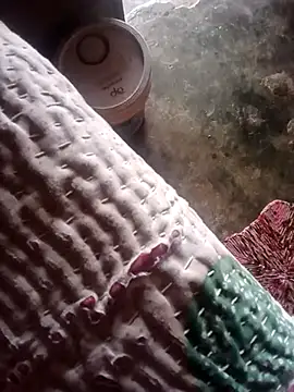 poojaji2024 online show from March 23, 2025, 5:54 am