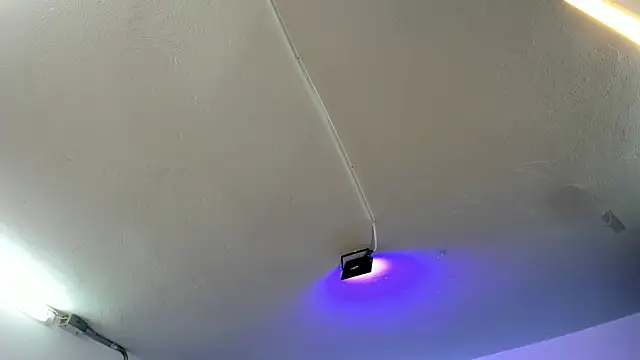 Snapshot of Amy_Kiitty_ chatting on November 21, 2025, 12:37 pm Amy Kiitty online show from November 21, 2025, 12:37 pm