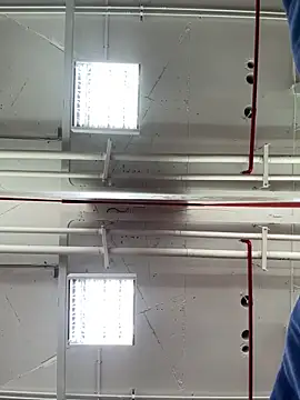 Snapshot of luv2masterb8247 chatting on March 17, 2025, 2:08 am luv2masterb8247 online show from March 17, 2025, 2:08 am