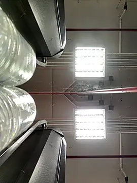 Snapshot of luv2masterb8247 chatting on March 21, 2025, 2:07 am luv2masterb8247 online show from March 21, 2025, 2:07 am