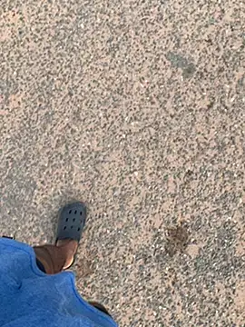 Snapshot of Black_mamba_madingo chatting on January 30, 2025, 8:11 am Black mamba madingo online show from January 30, 2025, 8:11 am