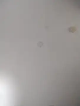 Snapshot of geilerschwanz64 chatting on October 27, 2025, 2:15 am geilerschwanz64 online show from October 27, 2025, 2:15 am