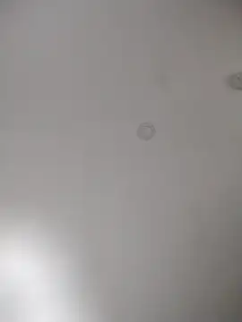 Snapshot of geilerschwanz64 chatting on October 30, 2025, 11:38 pm geilerschwanz64 online show from October 30, 2025, 11:38 pm