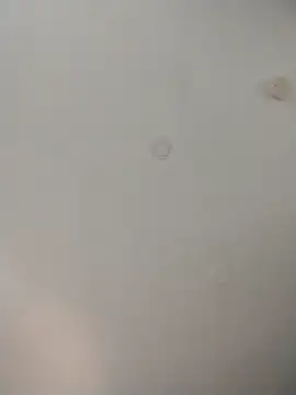 Snapshot of geilerschwanz64 chatting on November 26, 2025, 8:21 pm geilerschwanz64 online show from November 26, 2025, 8:21 pm