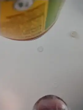 Snapshot of geilerschwanz64 chatting on December 1, 2025, 9:09 pm geilerschwanz64 online show from December 1, 2025, 9:09 pm