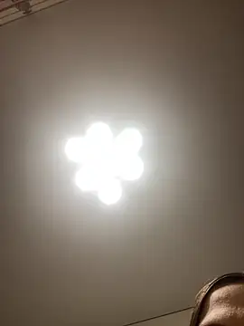 Snapshot of Janet_Welder chatting on November 16, 2025, 12:05 am Janet Welder online show from November 16, 2025, 12:05 am