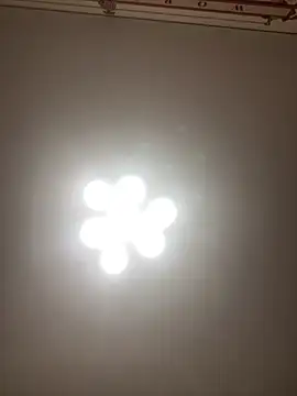 Snapshot of Janet_Welder chatting on November 16, 2025, 8:25 pm Janet Welder online show from November 16, 2025, 8:25 pm