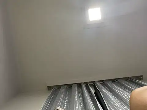 Snapshot of lariic chatting on March 13, 2025, 11:27 pm lariic online show from March 13, 2025, 11:27 pm