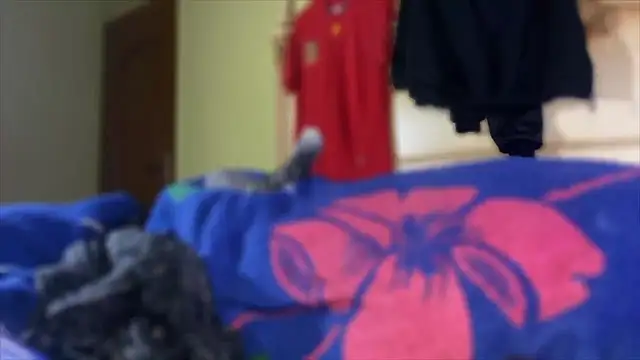 Snapshot of emylolo9 chatting on January 3, 2025, 1:47 pm emylolo9 online show from January 3, 2025, 1:47 pm