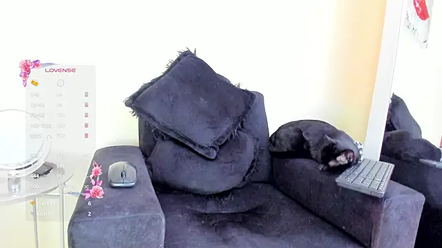 its  angelica  online show from November 19, 2025, 7:47 pm