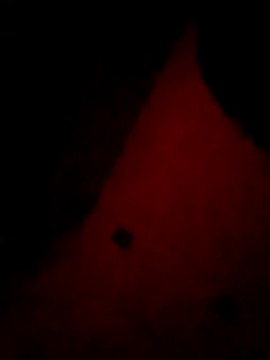 Mieto  online show from April 17, 2026, 3:20 am