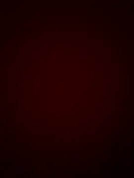 DINA-FOX online show from January 30, 2025, 11:55 pm