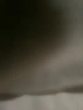 DINA-FOX online show from February 1, 2025, 2:02 pm