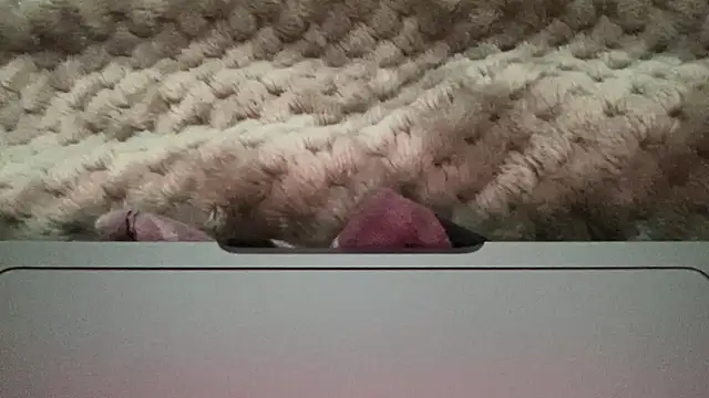 thick n hard online show from December 14, 2024, 9:51 am