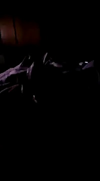 Snapshot of Imthegoattt chatting on December 12, 2024, 11:47 pm Imthegoattt online show from December 12, 2024, 11:47 pm