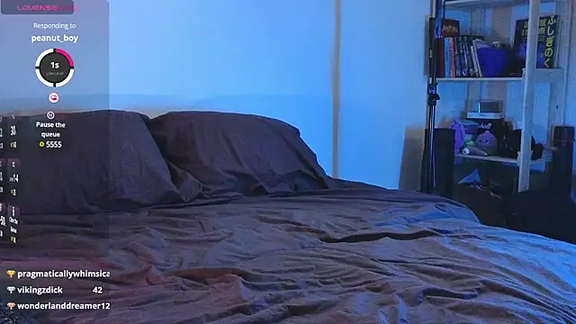 Space X Roxy  online show from January 30, 2025, 10:30 pm