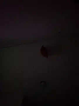 Snapshot of Carolinen chatting on February 3, 2025, 9:50 pm Carolinen online show from February 3, 2025, 9:50 pm