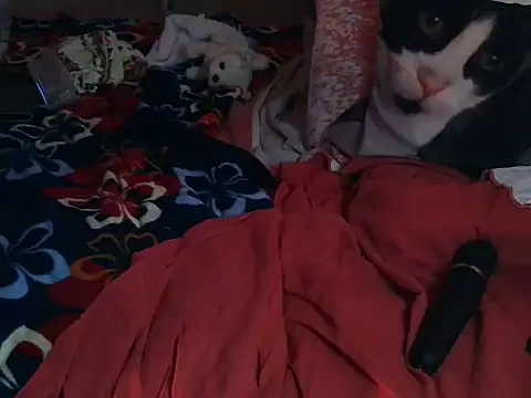 VeneRed online show from March 8, 2026, 6:55 pm