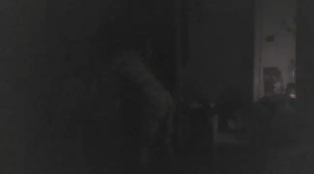 Just Gabriella online show from March 17, 2025, 1:18 pm