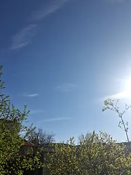 CeriseLapine online show from March 28, 2026, 7:41 am