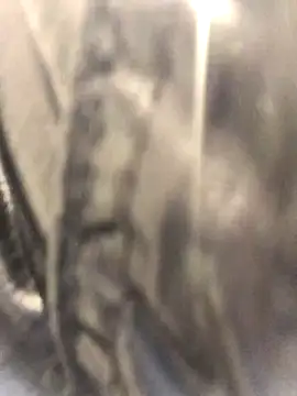 Snapshot of Diamond_Bunny_ chatting on September 24, 2025, 3:04 pm Diamond Bunny  online show from September 24, 2025, 3:04 pm