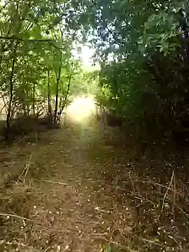 Snapshot of nataliecdlive chatting on September 13, 2025, 1:33 pm nataliecdlive online show from September 13, 2025, 1:33 pm