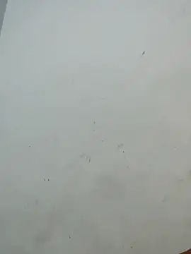 Sania-Love online show from December 2, 2025, 11:11 pm