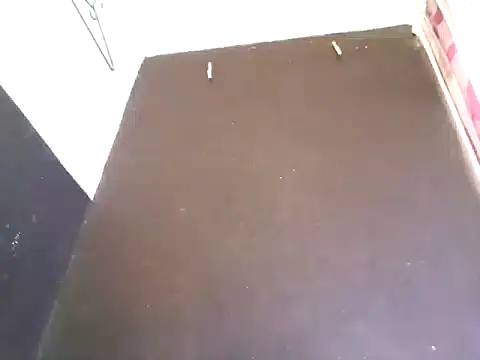 Loggan donnelly online show from October 29, 2025, 8:32 pm