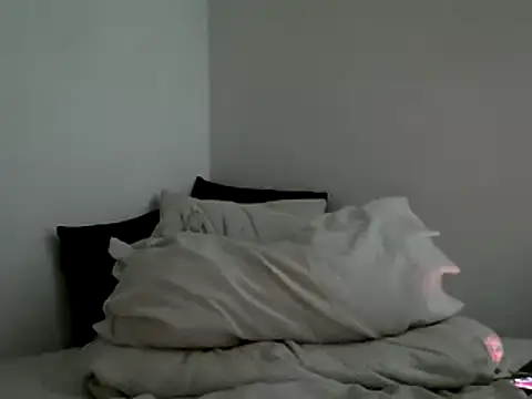 Snapshot of bruce_bigg chatting on February 4, 2025, 6:25 am bruce bigg online show from February 4, 2025, 6:25 am