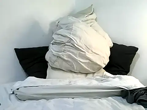 Snapshot of bruce_bigg chatting on February 11, 2025, 3:40 am bruce bigg online show from February 11, 2025, 3:40 am