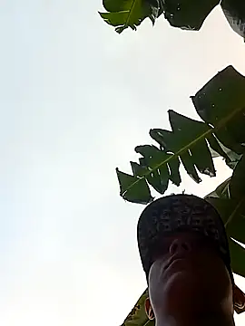 tayson  online show from January 13, 2025, 11:52 am