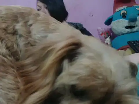 Cheliafun online show from October 25, 2025, 2:13 pm