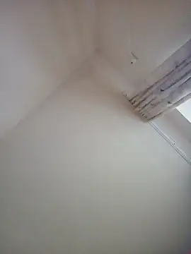 Snapshot of Virgin_Pussy_Love chatting on February 8, 2025, 3:00 pm Virgin Pussy Love online show from February 8, 2025, 3:00 pm