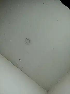 Snapshot of jeremiabello chatting on February 12, 2025, 5:16 pm jeremiabello online show from February 12, 2025, 5:16 pm