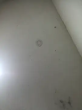 Snapshot of jeremiabello chatting on March 17, 2025, 10:49 am jeremiabello online show from March 17, 2025, 10:49 am