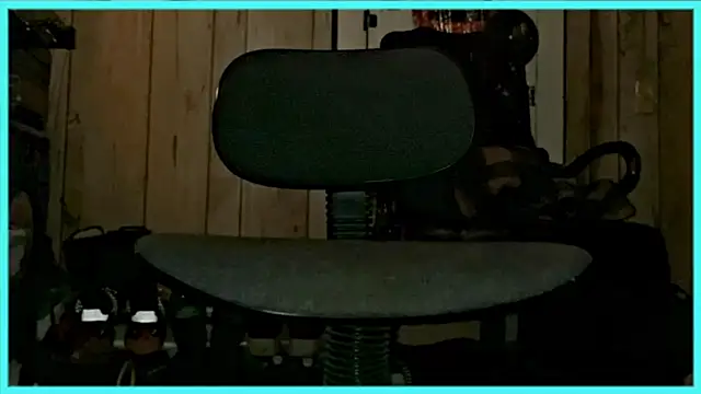 DickieDeeLuxxx online show from December 17, 2025, 4:18 am